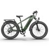 AOSTIRMOTOR new pattern 26" 1000W Electric Bike Fat Tire 52V15AH Removable Lithium Battery for Adults - as Pic