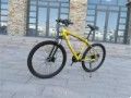 BMW Cross Country Mountain Bike Double Disc Brake (Option: Gold-24inches by 15inches)